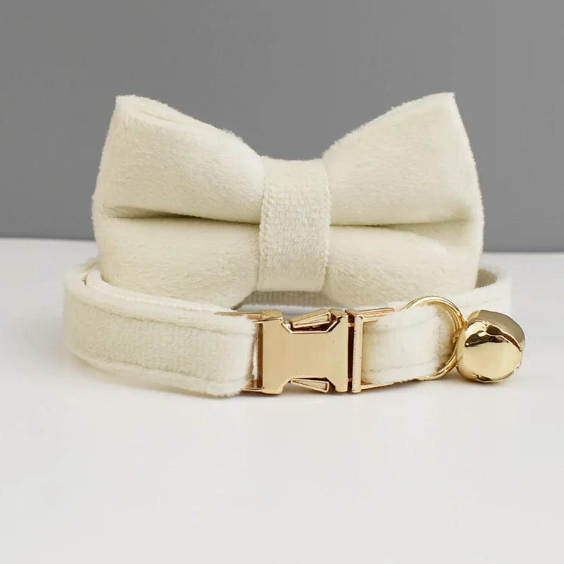 Custom Engraved Bowknot Cat Collar