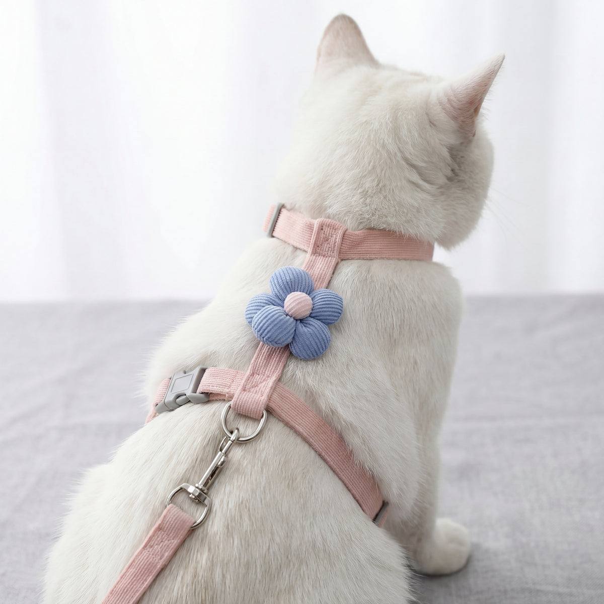 Cat Harness and Leash Sets Adjustable Dog Harness for Small Dog Leash Breashable Pet Harness Out Walking Dog Strap Cat Accessory