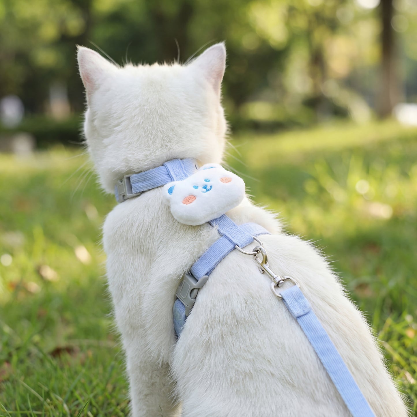 Cat Harness and Leash Sets Adjustable Dog Harness for Small Dog Leash Breashable Pet Harness Out Walking Dog Strap Cat Accessory