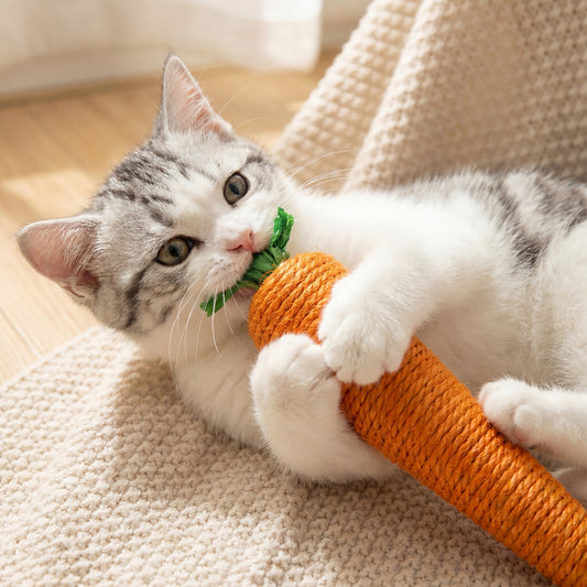 Interactive Carrot Kicker Plush Toy