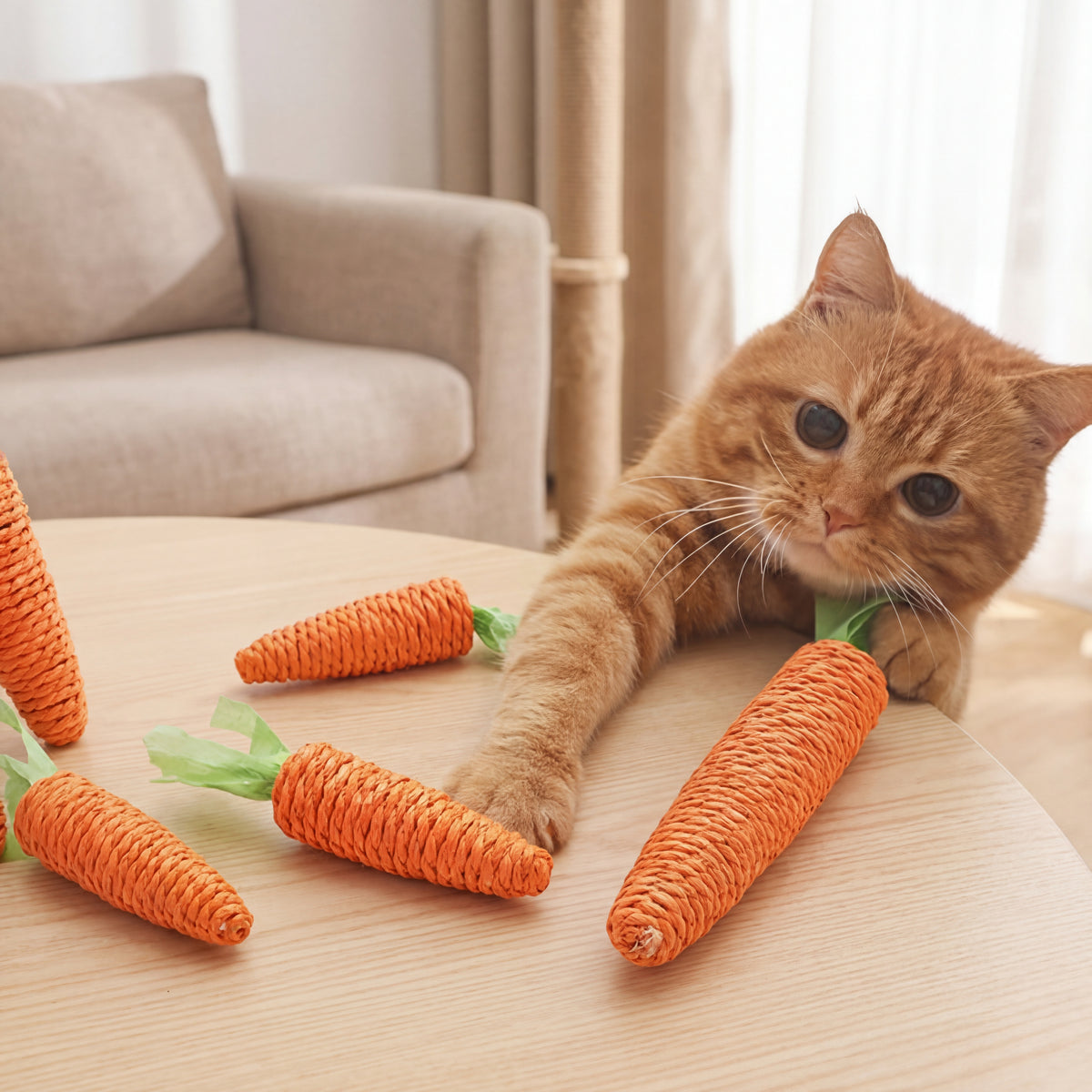 لعبة كاروت كيكر القطيفة التفاعلية