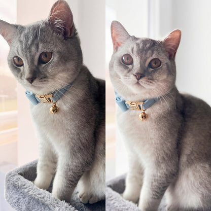 Custom Engraved Bowknot Cat Collar