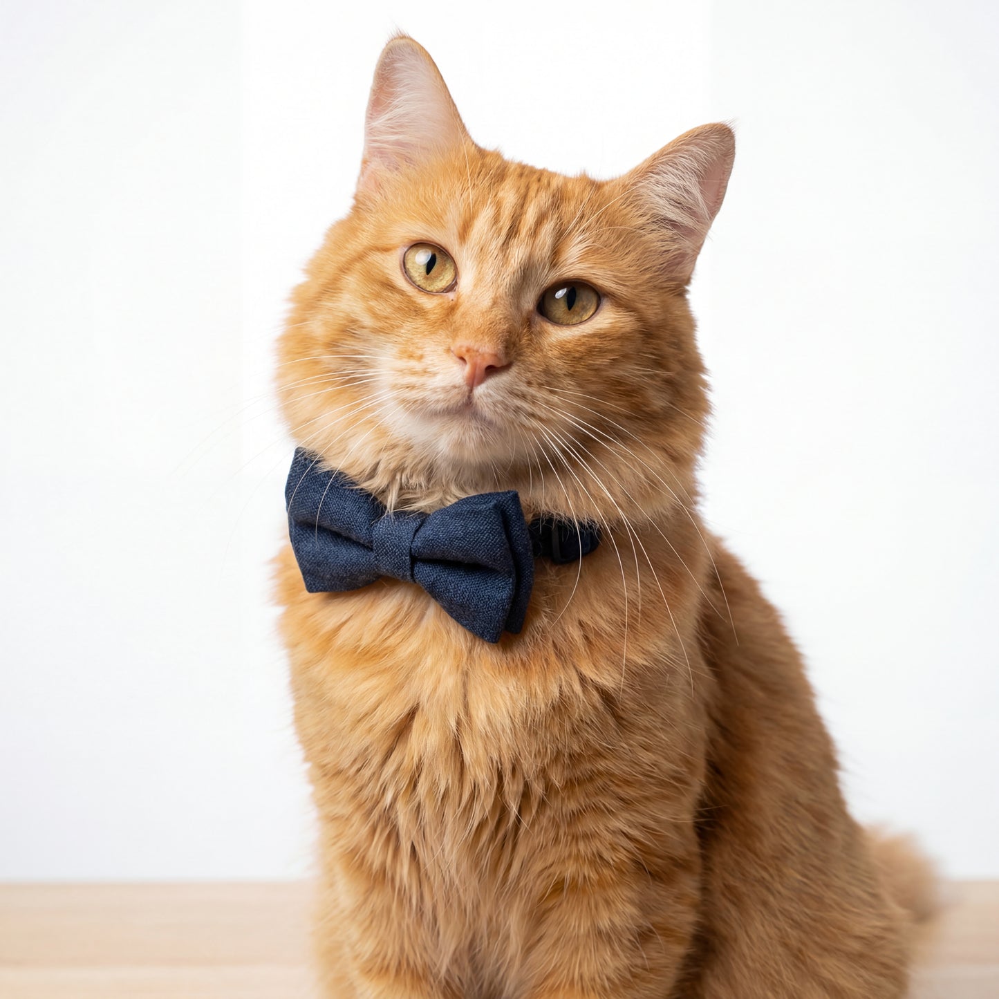 Custom Engraved Bowknot Cat Collar